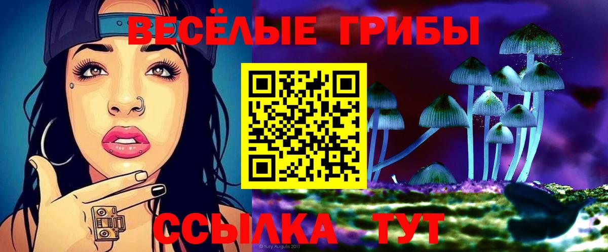Галлюциногенные грибы мицелий Междуреченск